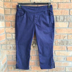 Westbound Womens Crop Pants Pull On Tummy Control Blue Size 14